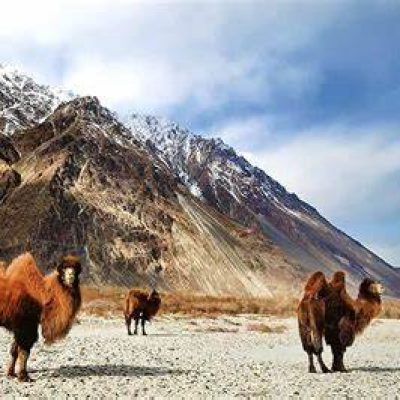 Hemis national park