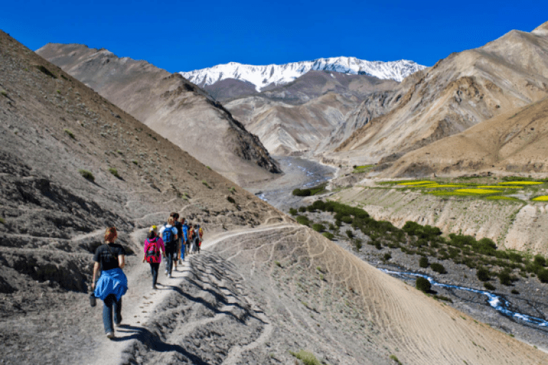 Rumtse to Tso Moriri Trek