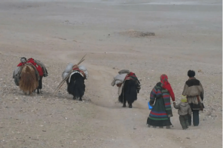 Nomadic Life Experience – Living with the Changpas