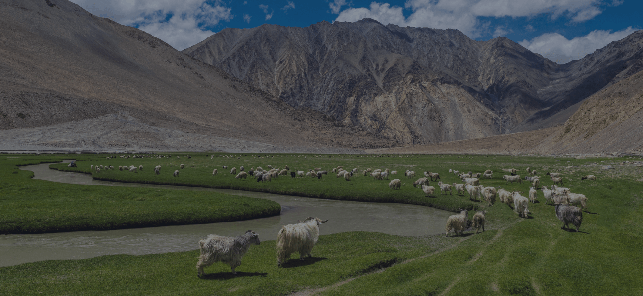 Changthang
