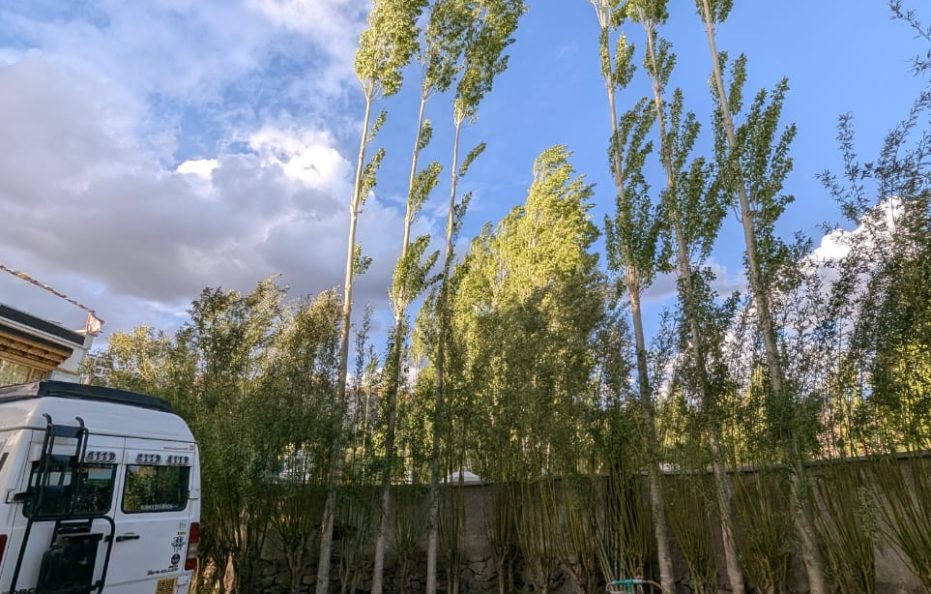 TSETAN PA