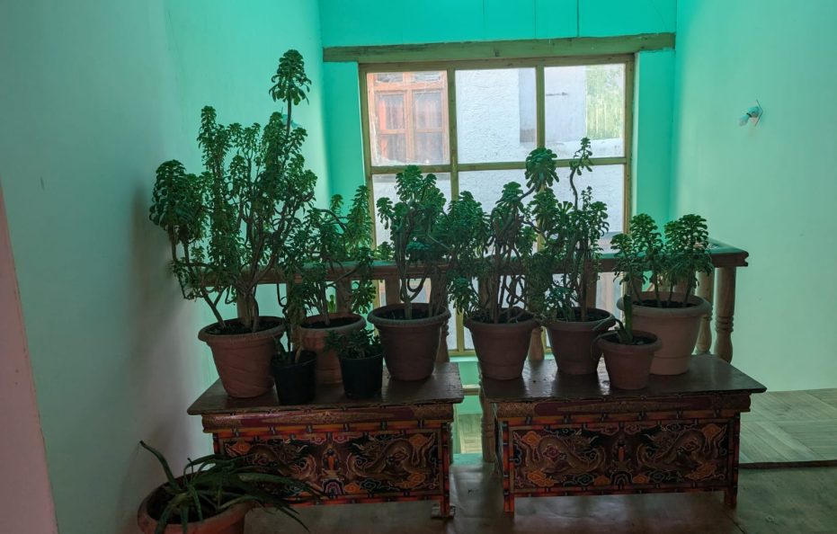 TSETAN PA