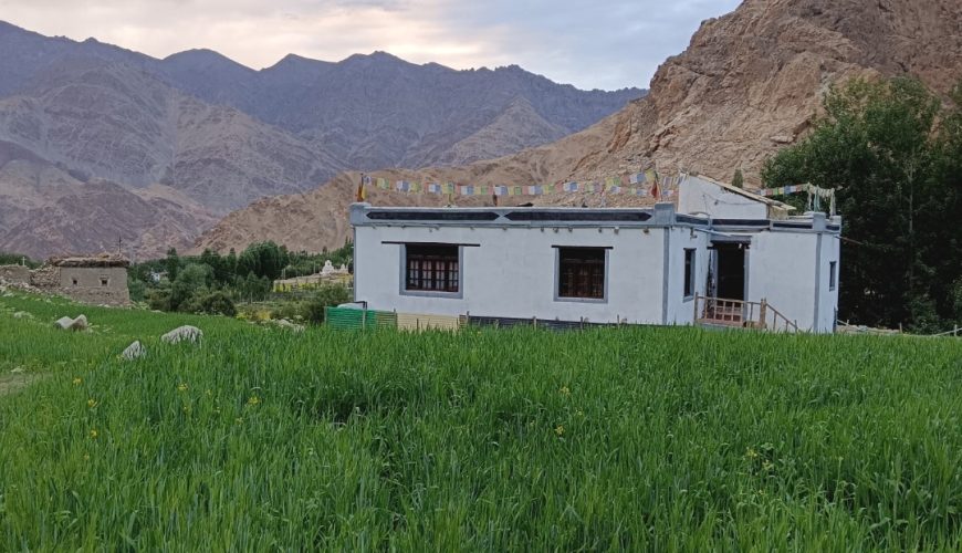 Gyatsa house shara
